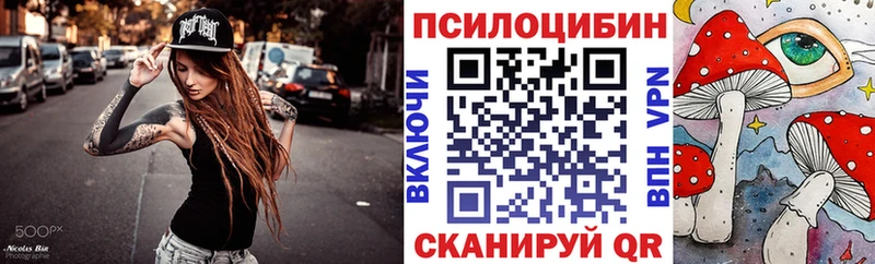 купить закладку  Верхний Тагил  Галлюциногенные грибы Psilocybe 