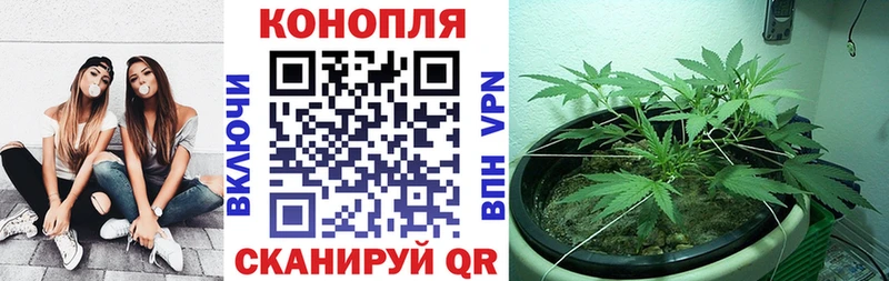 Канабис White Widow маркетплейс состав Верхний Тагил купить наркотик